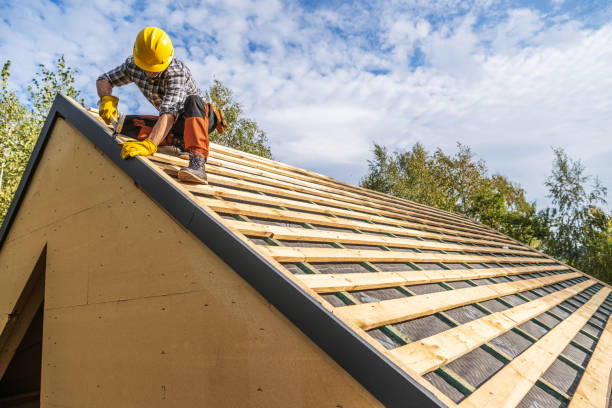 Best Roof Repair Services  in Morrisonvle, IL