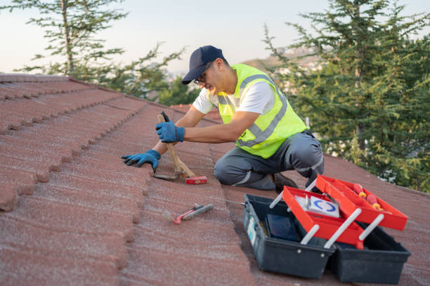 Best Emergency Roof Repair  in Morrisonvle, IL