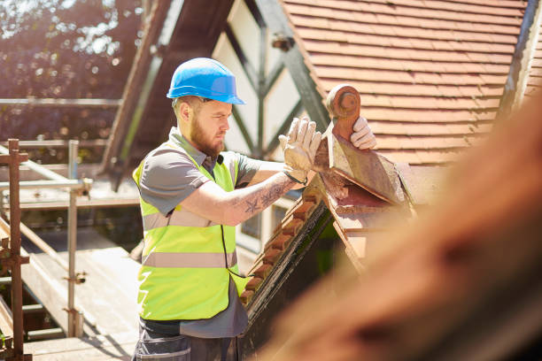 Best Roof Gutter Cleaning  in Morrisonvle, IL