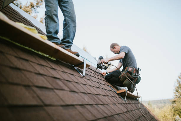Best Metal Roofing Contractor  in Morrisonvle, IL