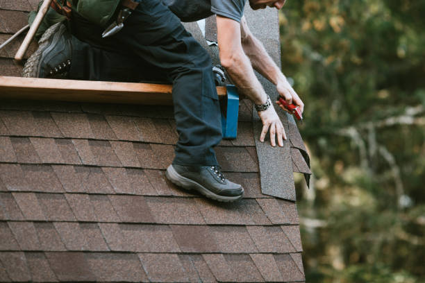Best New Roof Installation  in Morrisonvle, IL